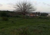 Suelo urbano en venta en Algeciras ref: TR353485 foto