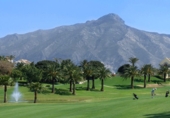 Detached villa with land for sale in Marbella ref: TR357239 photo