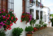 Detached villa with land for sale in Marbella ref: TR357239 photo