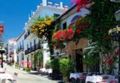 Detached villa with land for sale in Marbella ref: TR357239 photo