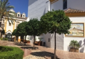 Detached villa with land for sale in Marbella ref: TR357239 photo