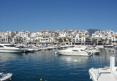 Detached villa with land for sale in Marbella ref: TR357239 photo