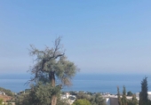 Sòl urbà en venda a Las Lomas de Mijas ref.: TR372463 foto