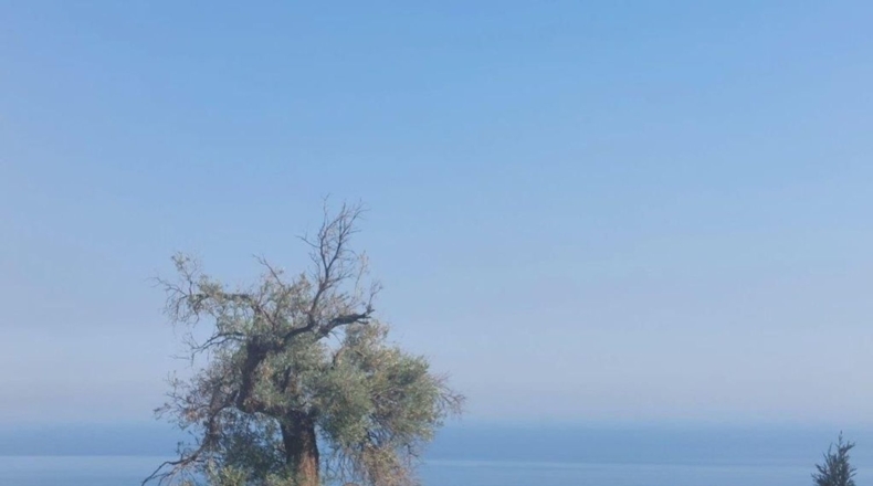 Málaga - Mijas - 800m2