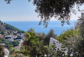 Foto 20