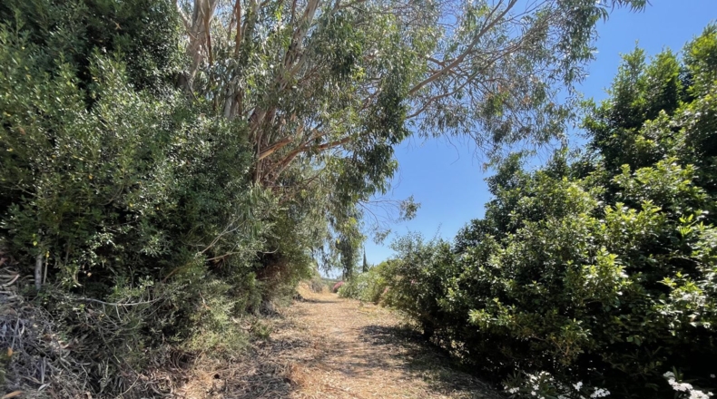 Cádiz - Algeciras - 2180m2