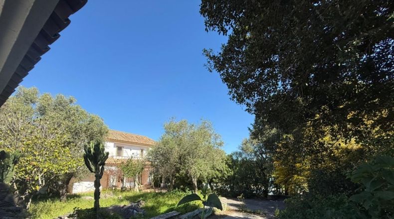 Cádiz - Benalup-Casas Viejas - 1771m2