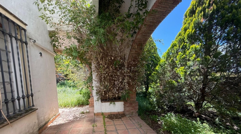 Cádiz - Benalup-Casas Viejas - 1771m2