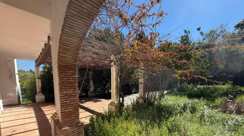 Cádiz - Benalup-Casas Viejas - 1771m2