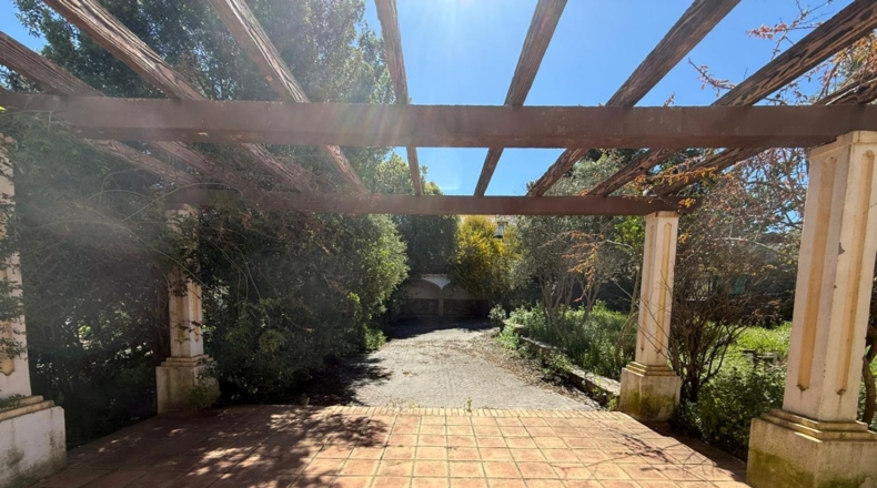 Cádiz - Benalup-Casas Viejas - 1771m2