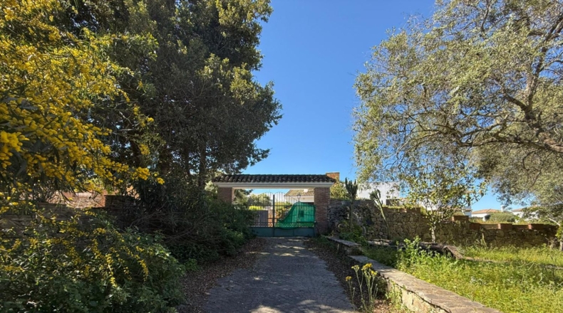Cádiz - Benalup-Casas Viejas - 1771m2