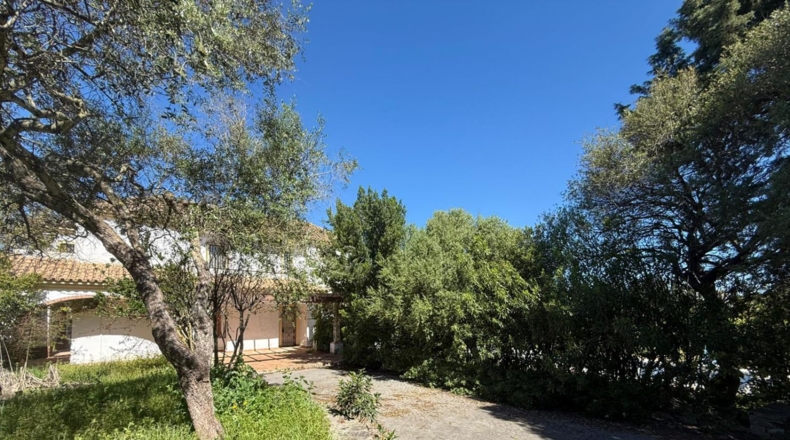 Cádiz - Benalup-Casas Viejas - 1771m2