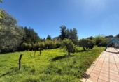 Casa de camp amb terreny en venda a Benalup-Casas Viejas ref.: TR395441 foto