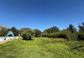 Casa de camp amb terreny en venda a Benalup-Casas Viejas ref.: TR395441 foto