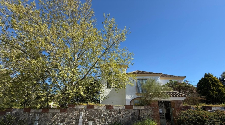 Cádiz - Benalup-Casas Viejas - 1771m2