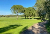 Sòl urbà en venda a Jerez de la Frontera ref.: TR343617 foto