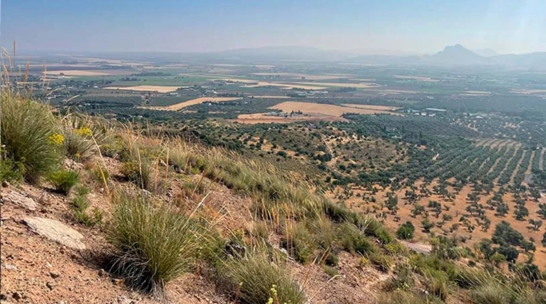 Malaga - Antequera - 1583m2