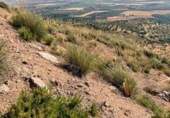 Land suitable for development for sale in Antequera ref: TR365326 photo