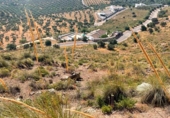 Land suitable for development for sale in Antequera ref: TR365326 photo