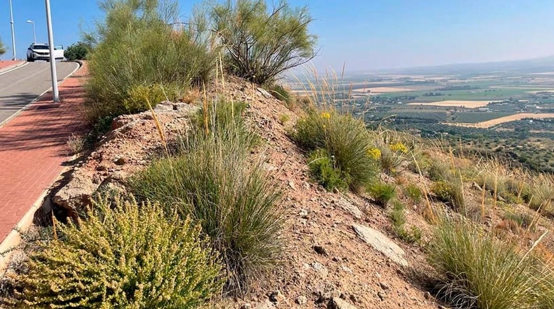 Malaga - Antequera - 1583m2