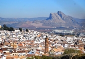 Land suitable for development for sale in Antequera ref: TR365326 photo
