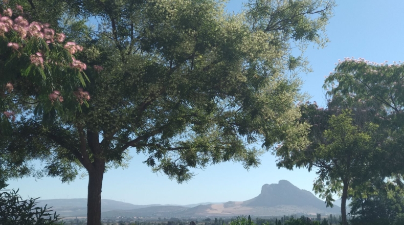 Malaga - Antequera - 1583m2
