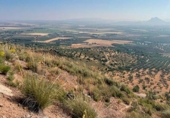 Land suitable for development for sale in Antequera ref: TR374927 photo