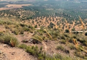 Land suitable for development for sale in Antequera ref: TR374927 photo