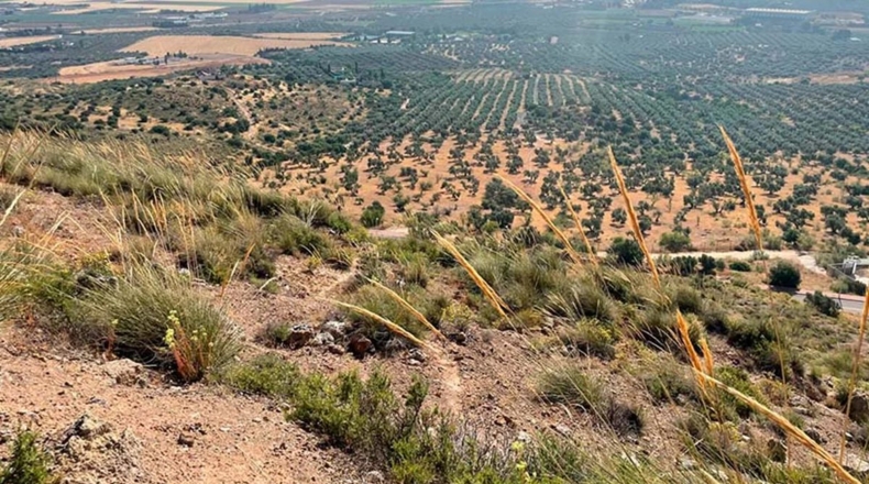 Málaga - Antequera - 3262m2