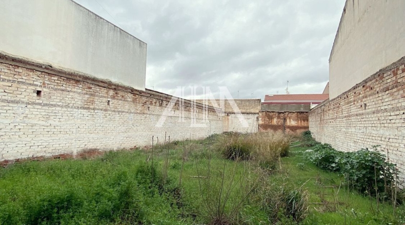 Ciudad Real - Manzanares - 290m2