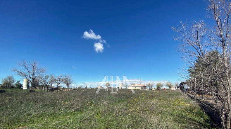 Ciudad Real - Membrilla - 7171m2