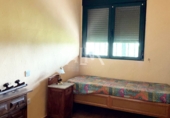 Casa de camp amb terreny en venda a Puertollano ref.: TR232881 foto