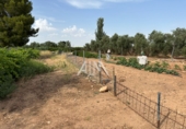 Casa de camp amb terreny en venda a Manzanares ref.: TR258377 foto