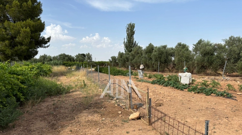 Ciudad Real - Manzanares - 10678m2