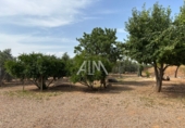 Casa de camp amb terreny en venda a Manzanares ref.: TR258377 foto