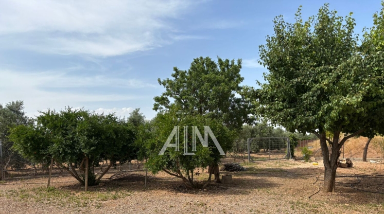 Ciudad Real - Manzanares - 10678m2