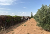 Casa de camp amb terreny en venda a Manzanares ref.: TR258377 foto