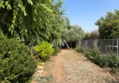 Casa de camp amb terreny en venda a Manzanares ref.: TR258377 foto