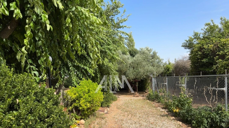 Ciudad Real - Manzanares - 10678m2