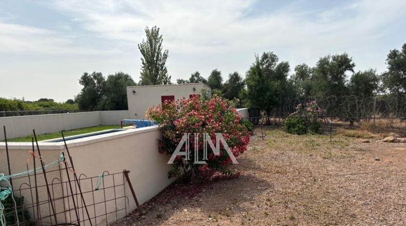 Ciudad Real - Manzanares - 10678m2
