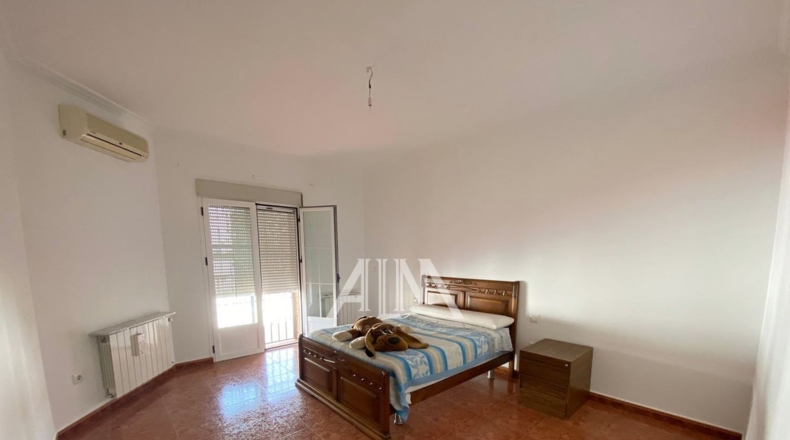 Ciudad Real - Manzanares - 254m2