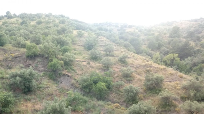 Málaga - Torrox - 9300m2