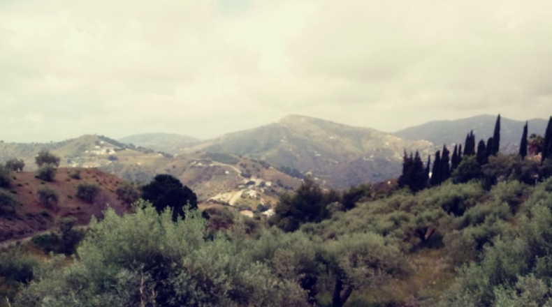 Malaga - Frigiliana - 8791m2