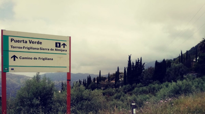 Malaga - Frigiliana - 8791m2
