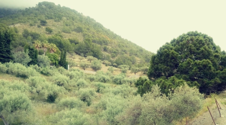 Malaga - Frigiliana - 8791m2