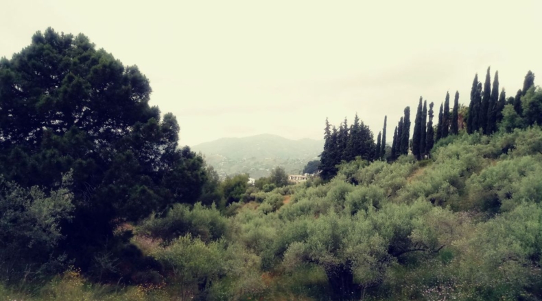 Malaga - Frigiliana - 8791m2