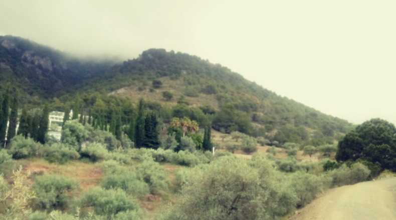 Malaga - Frigiliana - 8791m2