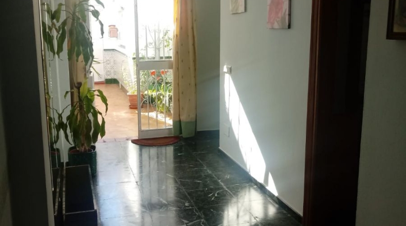 Málaga - Nerja - 200m2
