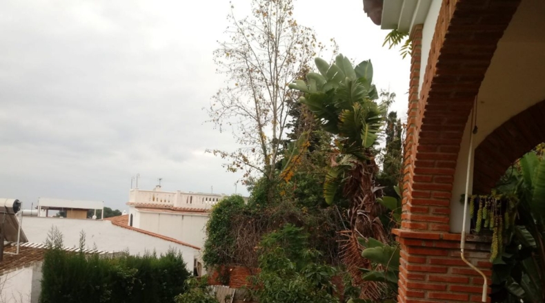 Málaga - Nerja - 648m2