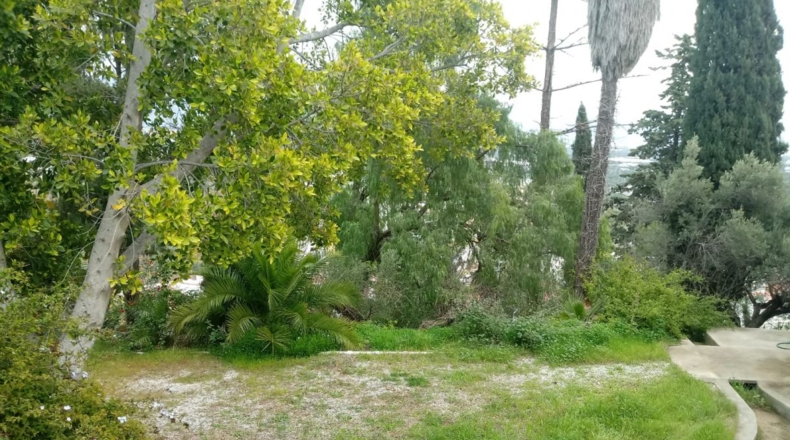 Málaga - Nerja - 648m2